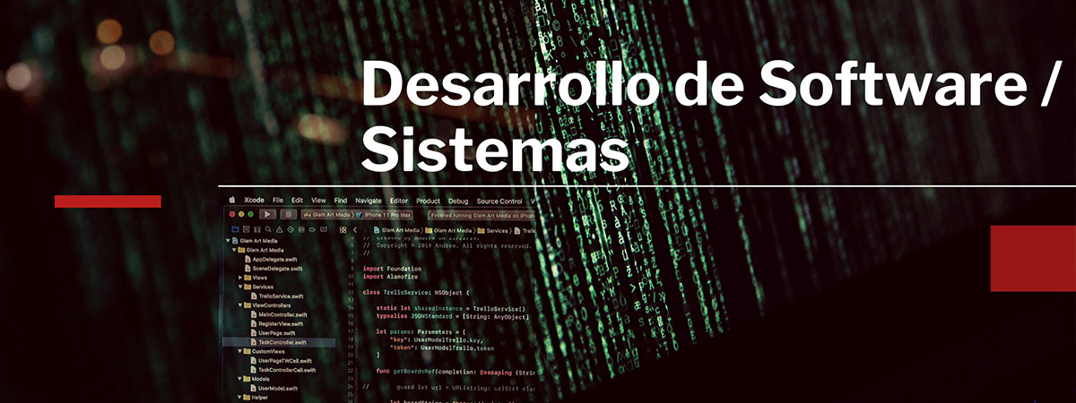 Desarrollo de Software